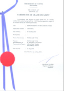 Registry  Of Patents Singapore